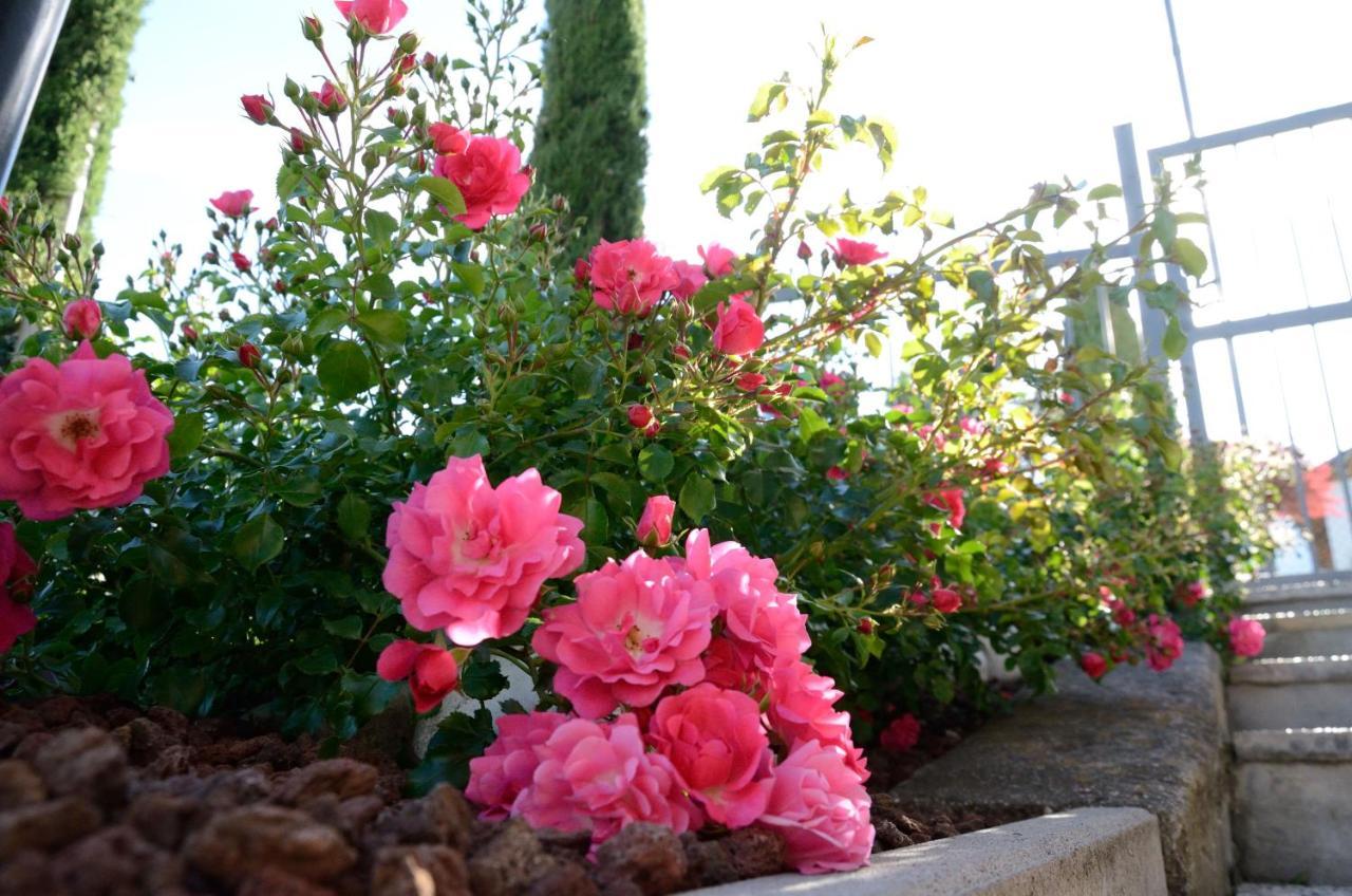 Bed and Breakfast Al Trifoglio Campodenno Екстер'єр фото