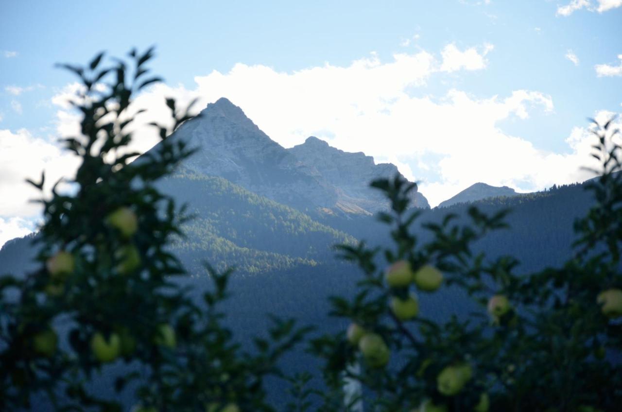 Bed and Breakfast Al Trifoglio Campodenno Екстер'єр фото