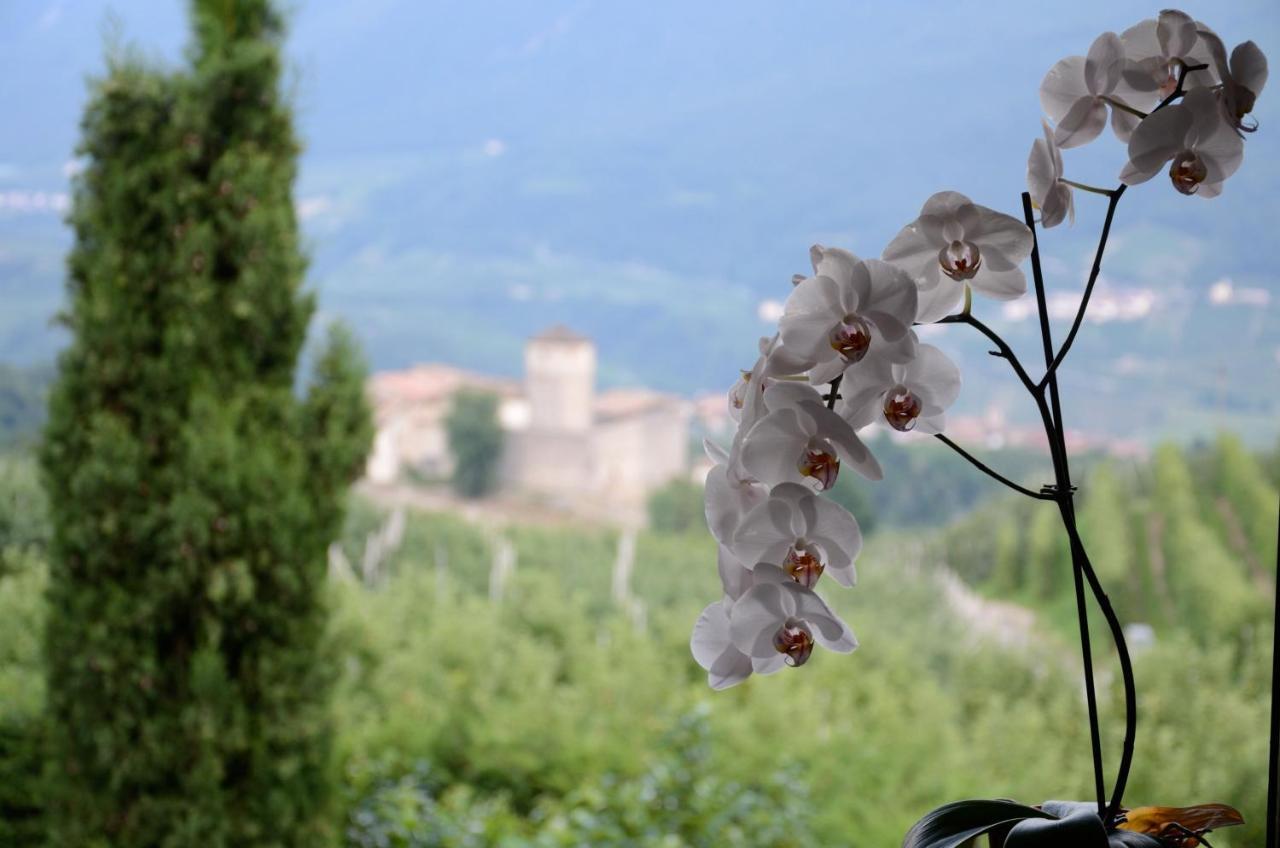 Bed and Breakfast Al Trifoglio Campodenno Екстер'єр фото